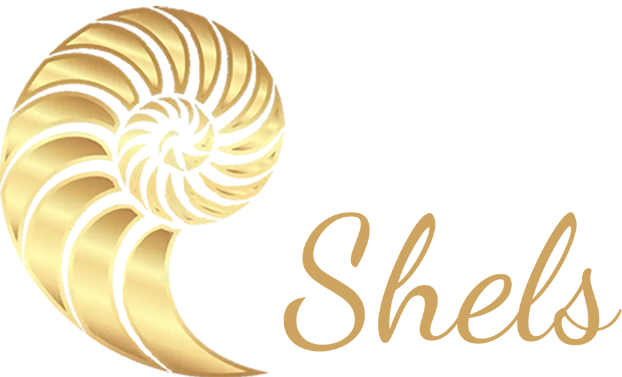 Shels - Its all about the Shels